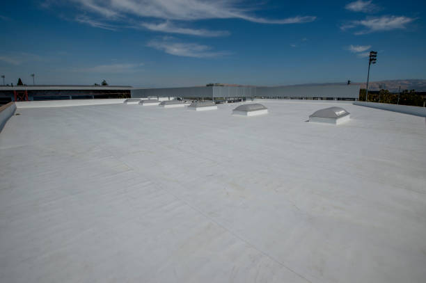 Best Roof Insulation Installation  in Lodi, WI